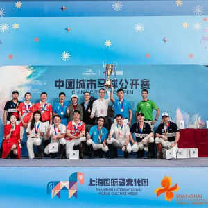 中国城市马球赛收官战精彩纷呈 构建“马术+消费”新场景