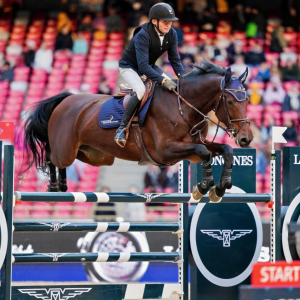 丹尼尔·杜瑟夺冠150CM浪琴表大奖赛 2025浪琴表北京国际马术大师赛收官战圆满完成 ...