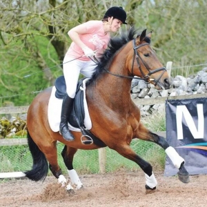 在骑乘中应对马匹受惊：让“放松”成为一项技能