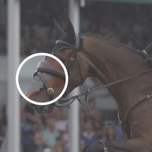 有效性尚存争议，使用马鼻贴是心理安慰吗？