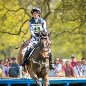 你的马匹有“直行力”吗？