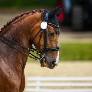 马吐舌头、吐白沫，是想告诉你什么？