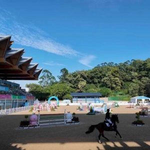 四年一届全运会，中国马术运动的“体检”之年