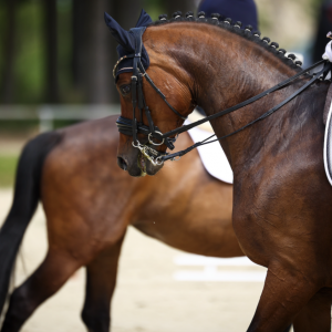 从必须到可选：大奖赛水勒改革意味着什么？