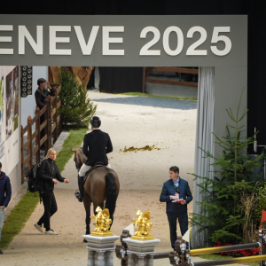 日内瓦马术节前线直击：规则变动牵动骑手策略，大奖赛看点全解析 ... ...