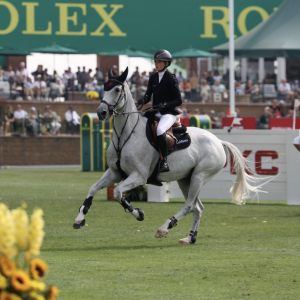 坐，还是不坐？如何在障碍路线中选择适合的骑坐