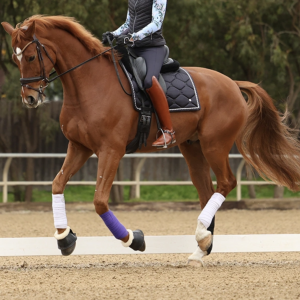 为什么需要正确的跑步：理解并训练空中换腿