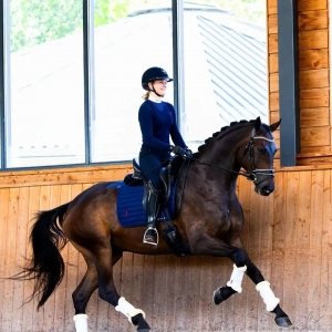 为什么要学会用坐骨骑马