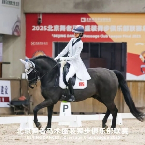 人马同行，逐梦舞步：“北京舞者”总决赛回顾