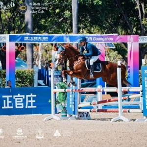 驭风时刻，稳赢马术赛场的“硬核精力”