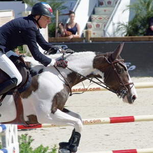 关于骑乘的关键肌肉你知道多少？附骑乘前热身指南