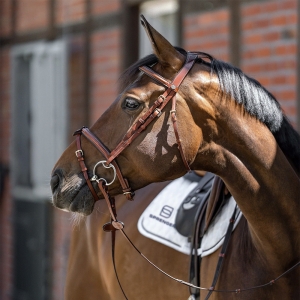 马太难控？换更“强”的衔铁，往往不是答案