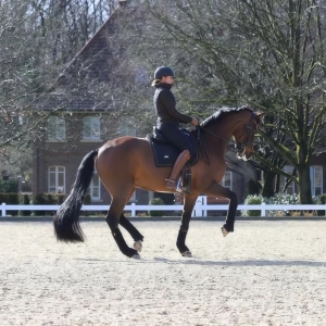 高效训练的前提：让马一次只需要“理解一件事”