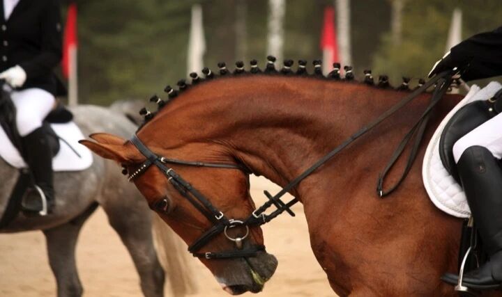 马太难控？换更“强”的衔铁，往往不是答案