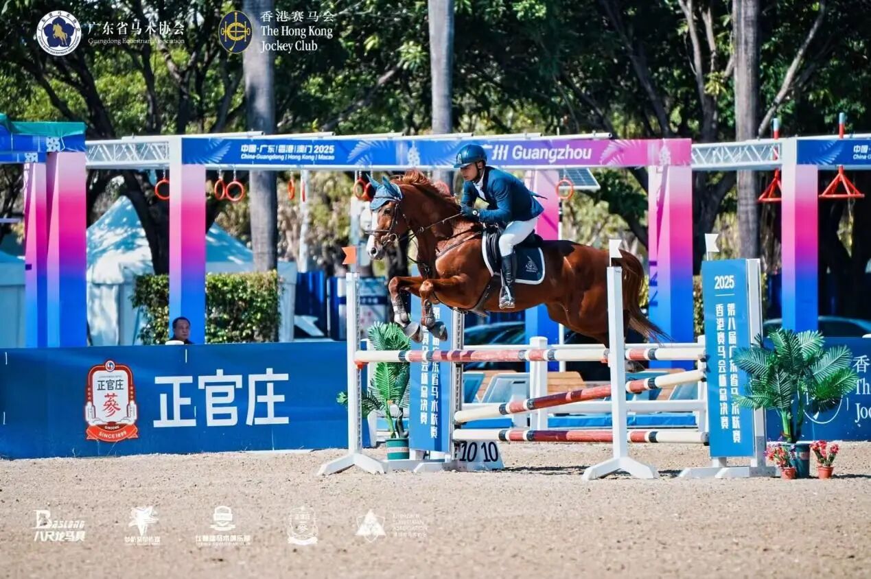 驭风时刻，稳赢马术赛场的“硬核精力”