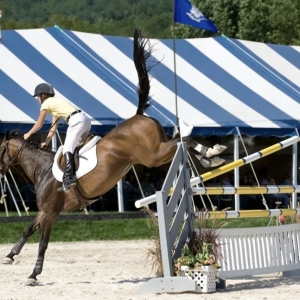 别让过度训练毁掉你的马
