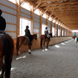 马术怎样才能留住越来越多的人？