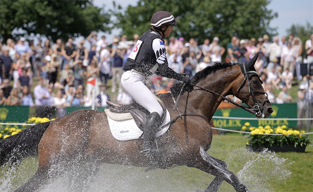 为什么十二生肖中，只有马被选入了奥运项目？