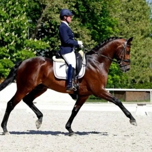 轻快步打浪吃力？你可能在对抗马的自然节奏