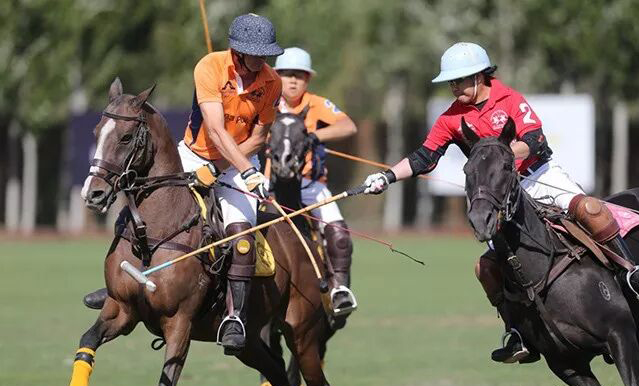 十年球友聚首，中阿三赛合一！2018中国马球精英赛落幕