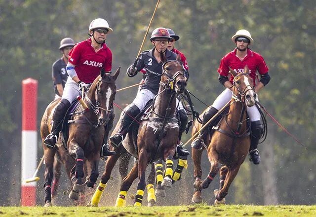 2019 中秋佳节赛事起，马球精神共传扬