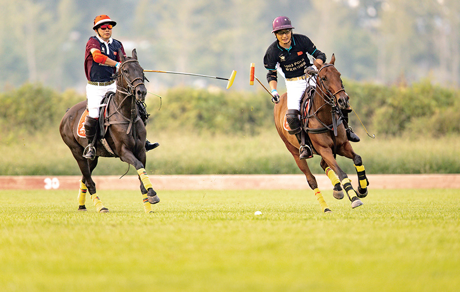 王刚：从官舍商业蓝图到马球赛场，演绎跨文化生活美学
