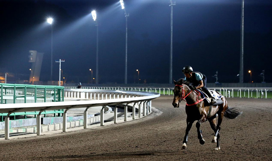 世界级赛马训练中心招聘｜香港赛马会从化马场招聘策骑员（矮马方向） ...