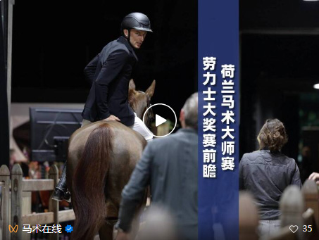 没有距离的巅峰｜荷兰马术大师赛劳力士大奖赛前瞻