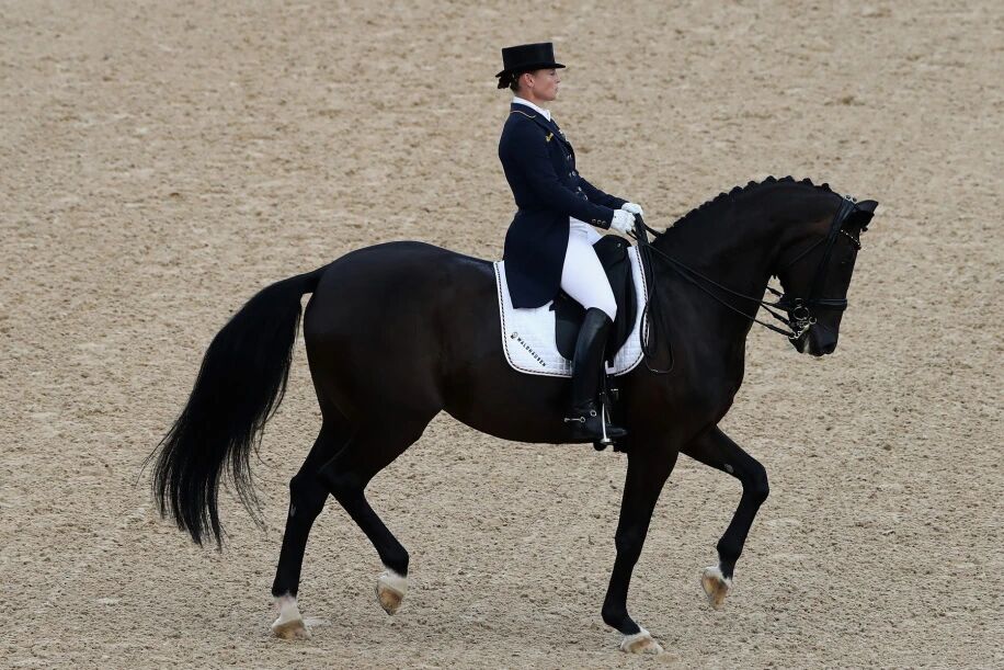 负重与轻盈：现代人的“盛装舞步”