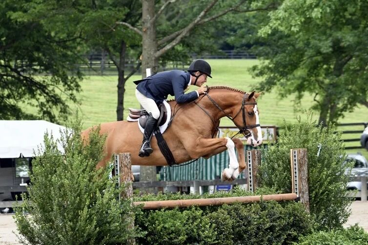 别再让马冲障碍了，先把节奏找回来