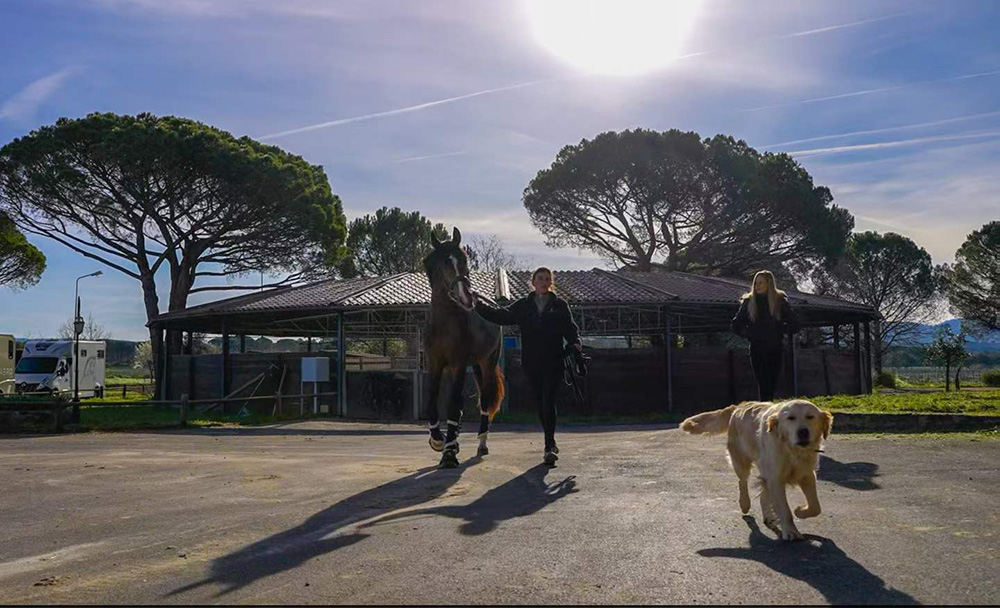 夏令营 | 南法马术之旅，10天沉浸式法国马术生活体验