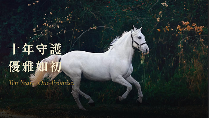 十年了，他们还在做一件“没必要”的事
