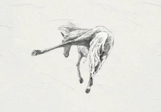 深度对话 Urban Stables 幕后团队